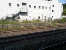 43323-7.jpg