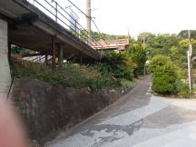 43327-6.jpg