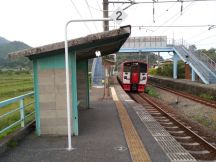 43331.jpg