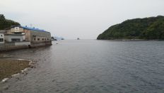 43332-1.jpg