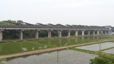 43345-2.jpg