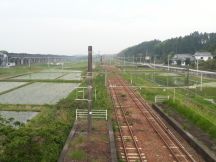 43345-3.jpg