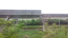 43357.jpg