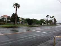 43371-7.jpg