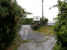 43372-3.jpg