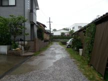 43372-4.jpg