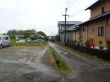 43372-5.jpg