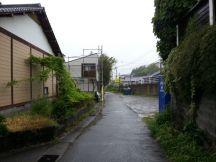 43372-6.jpg