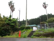 43375-5.jpg