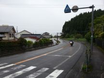 43375-8.jpg