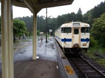 43377.jpg
