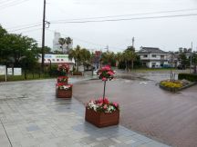 43380-1.jpg