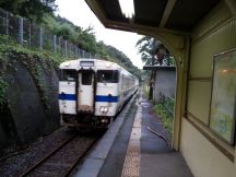 43385.jpg