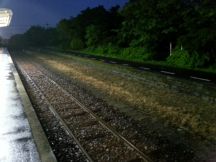 43389-1.jpg