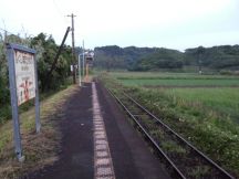 43399-2.jpg