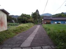 43399-8.jpg