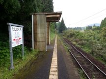 43411-1.jpg