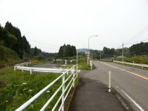43411-4.jpg