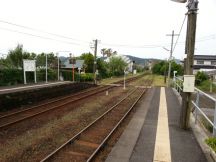 43417-1.jpg