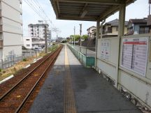 43428-1.jpg