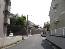 43428-5.jpg