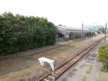 43433-2.jpg