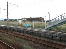 43445-1.jpg