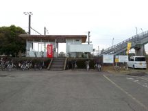 43445-3.jpg