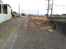 43445-4.jpg