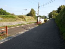 43454-2.jpg