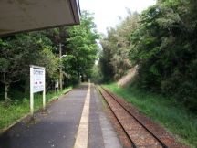 43457-1.jpg