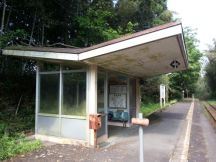 43457-3.jpg