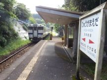 43457.jpg