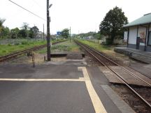 43462-6.jpg