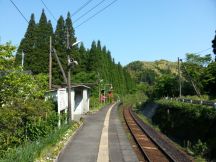 43483-1.jpg