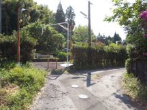 43483-3.jpg