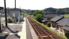 43484-1.jpg