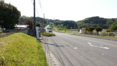 43484-4.jpg