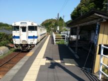 43484-6.jpg