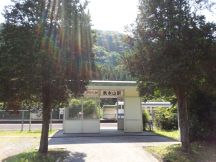 43485-3.jpg