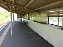 43486-2.jpg