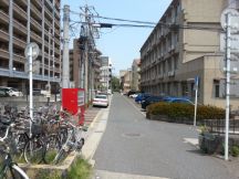43491-5.jpg
