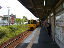 43492.jpg