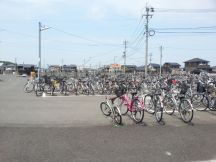 43493-4.jpg