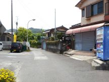 43494-4.jpg