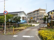 43494-5.jpg