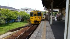 43496.jpg