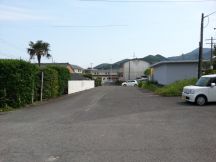 43499-4.jpg