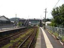 43503-1.jpg