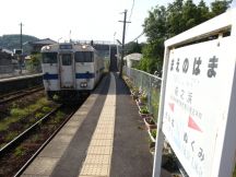 43505.jpg